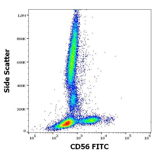 Anti-Hu CD56 FITC