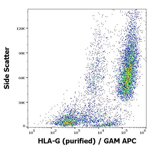 Anti-HLA-G Purified