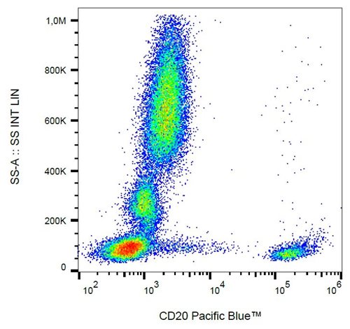 Anti-Hu CD20 Pacific Blue™