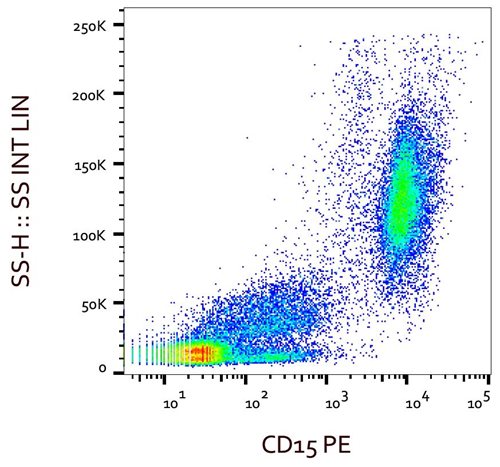 Anti-Hu CD15 PE