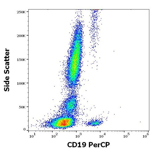 Anti-Hu CD19 PerCP