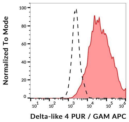 Anti-DLL4 Purified