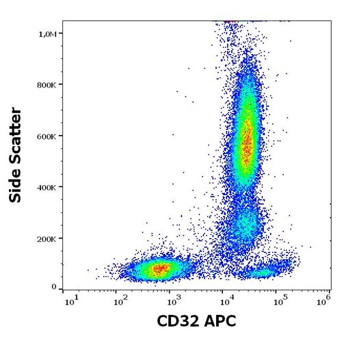 Anti-Hu CD32 APC