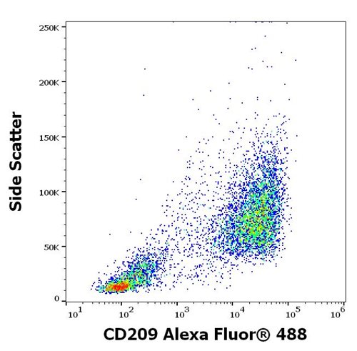 Anti-Hu CD209 Alexa Fluor<sup>®</sup> 488