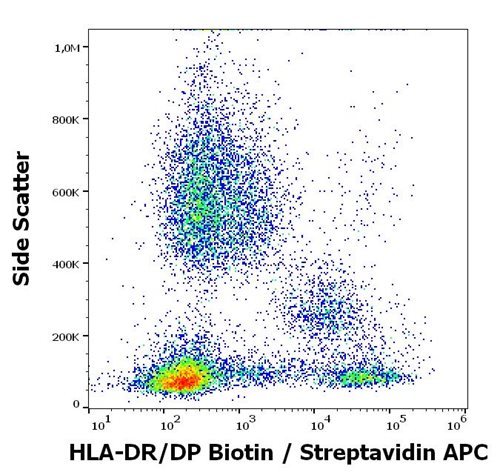 Anti-HLA-DR/DP Biotin