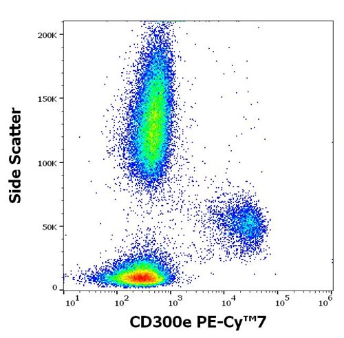 Anti-Hu CD300e PE-Cy™7