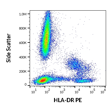 Anti-HLA-DR PE