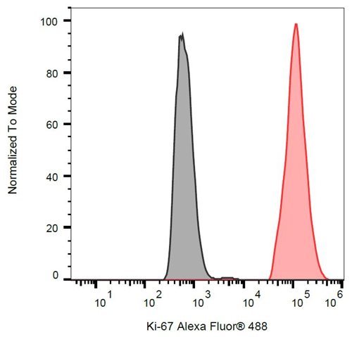 Anti-Ki-67 Alexa Fluor<sup>®</sup> 488