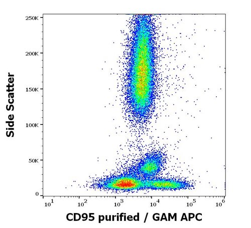 Anti-Hu CD95 Purified