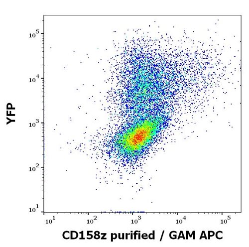 Anti-Hu CD158z Purified