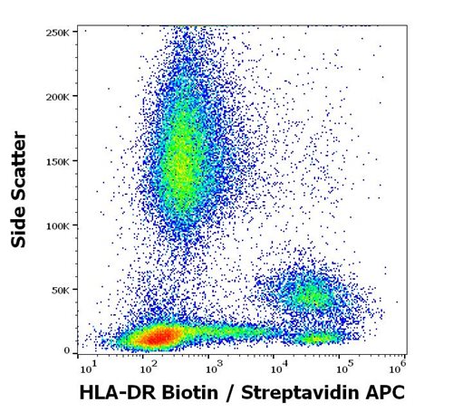 Anti-HLA-DR Biotin