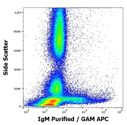 Anti-Hu IgM Purified
