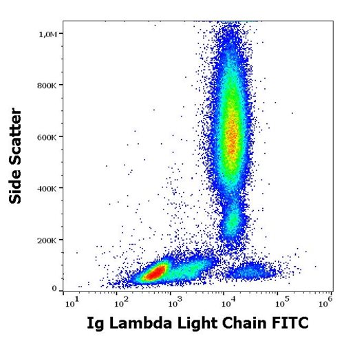 Anti-Hu Ig Lambda Light Chain FITC