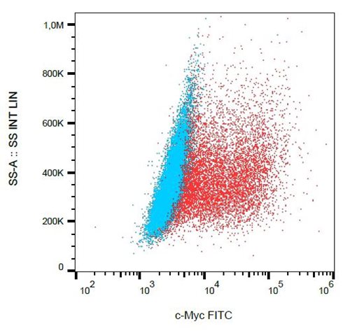 Anti-c-Myc tag FITC