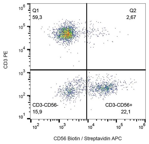 Anti-Hu CD56 Biotin