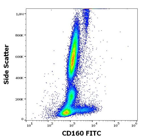 Anti-Hu CD160 FITC