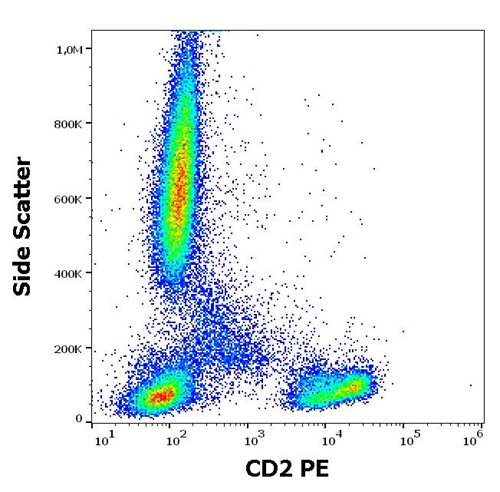 Anti-Hu CD2 PE