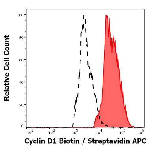 Anti-Cyclin D1 Biotin