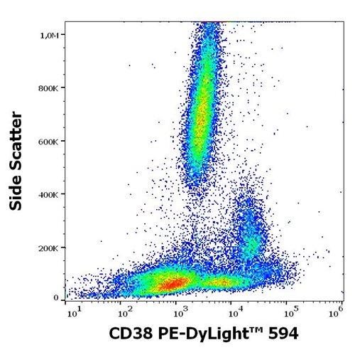 Anti-Hu CD38 PE-DyLight™ 594