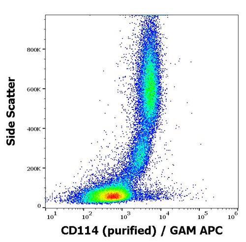 Anti-Hu CD114 Purified