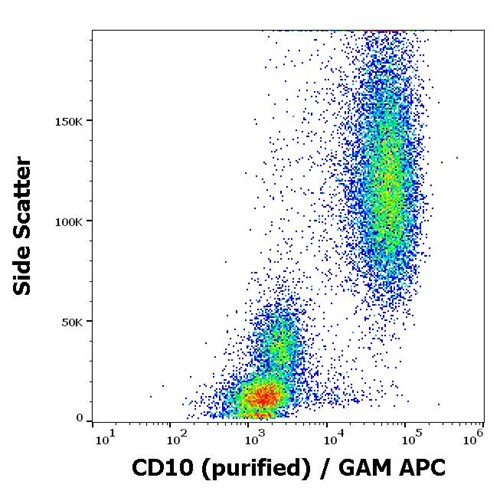 Anti-Hu CD10 Purified