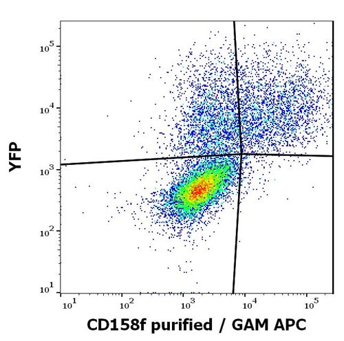 Anti-Hu CD158f Purified