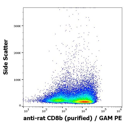 Anti-Rt CD8b Purified Low Endotoxin