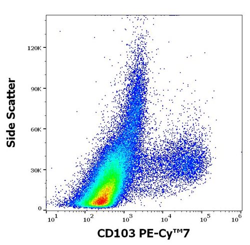 Anti-Hu CD103 PE-Cy™7
