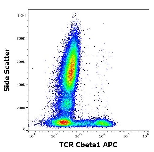 Anti-Hu TCR Cbeta1 APC