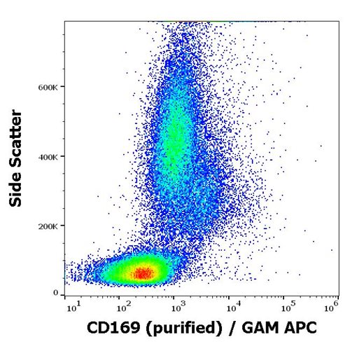 Anti-Hu CD169 Purified