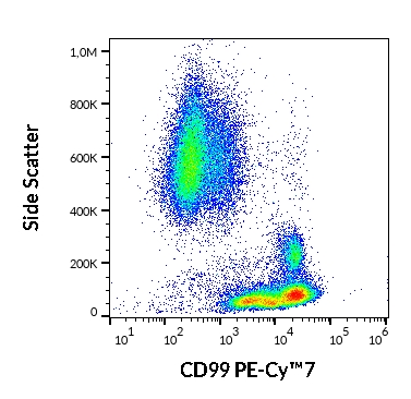 Anti-Hu CD99 PE-Cy™7