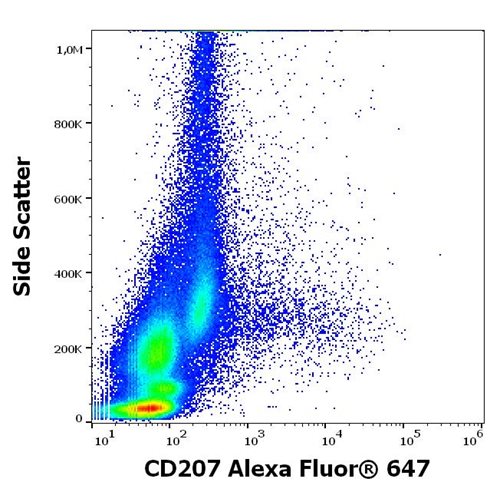 Anti-Hu CD207 Alexa Fluor<sup>®</sup> 647