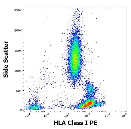 Anti-HLA Class I PE