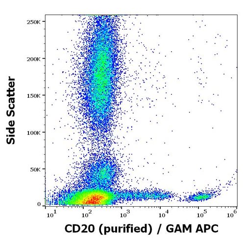 Anti-Hu CD20 Purified