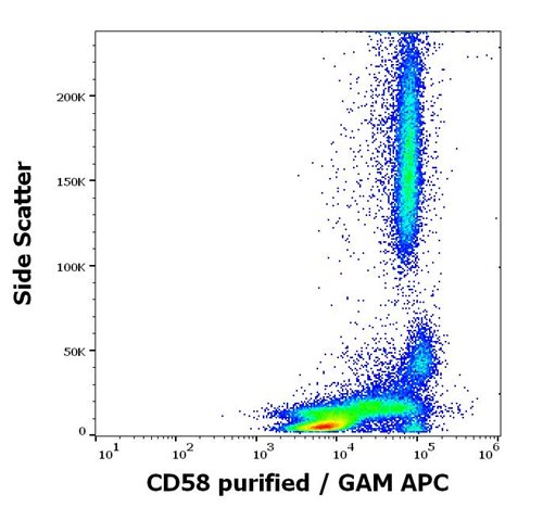 Anti-Hu CD58 Purified