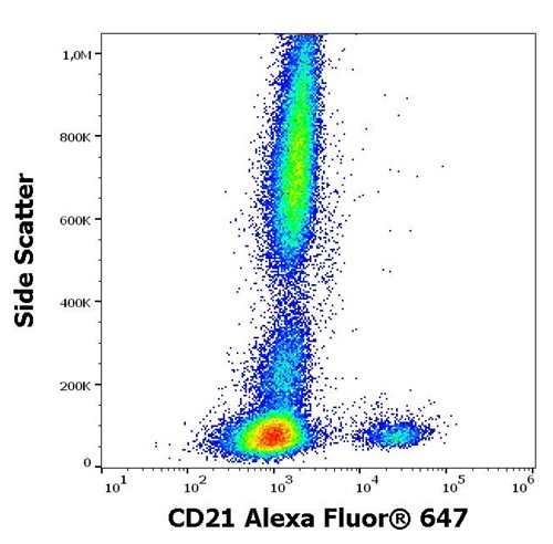 Anti-Hu CD21 Alexa Fluor<sup>®</sup> 647