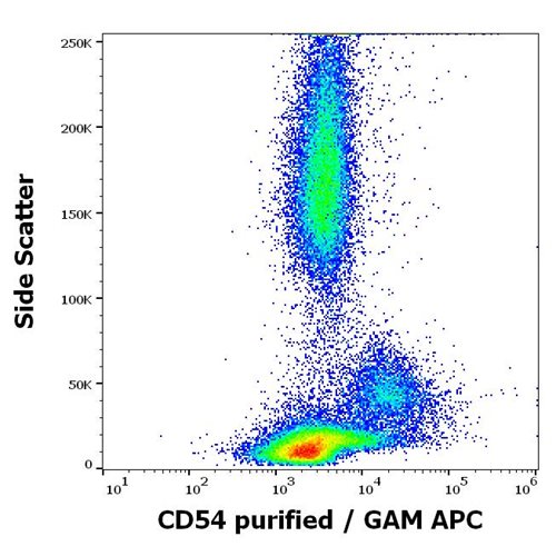 Anti-Hu CD54 Purified