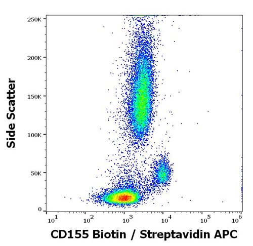 Anti-Hu CD155 Biotin