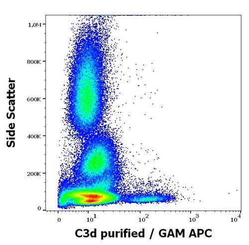 Anti-Hu C3d Purified