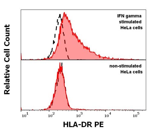 Recombinant human IFN gamma
