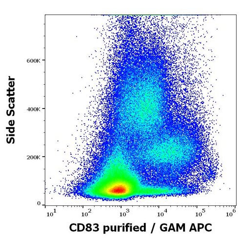 Anti-Hu CD83 Purified