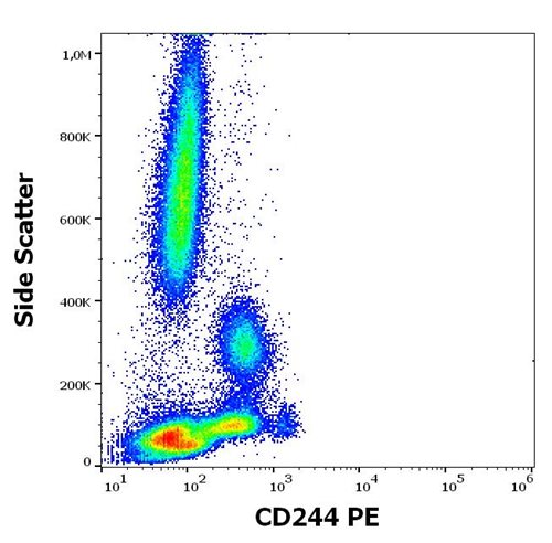 Anti-Hu CD244 PE