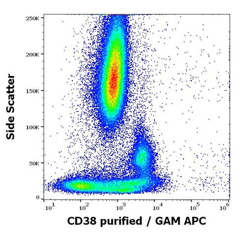 Anti-Hu CD38 Purified