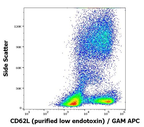 Anti-Hu CD62L Purified Low Endotoxin