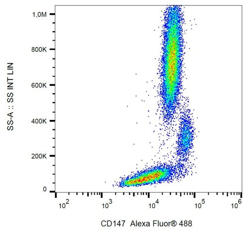 Anti-Hu CD147 Alexa Fluor<sup>®</sup> 488