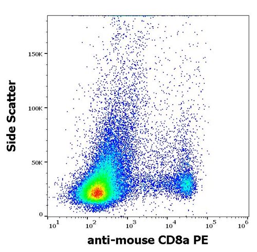 Anti-Ms CD8a PE