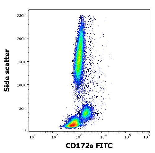 Anti-Hu CD172a FITC