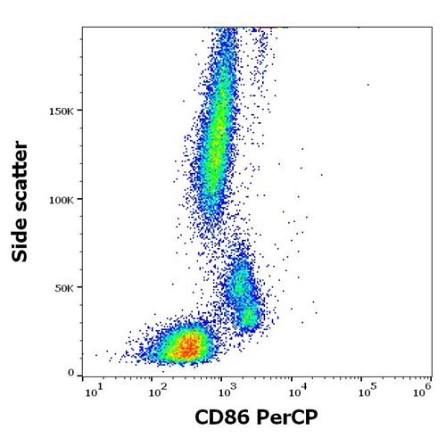 Anti-Hu CD86 PerCP