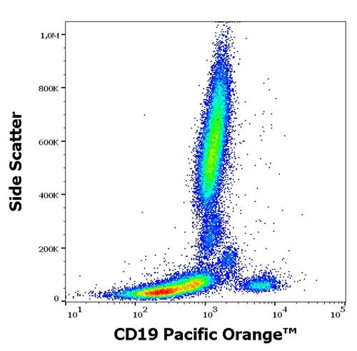 Anti-Hu CD19 Pacific Orange™