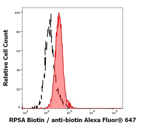 Anti-RPSA Biotin
